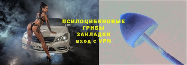амф Надым