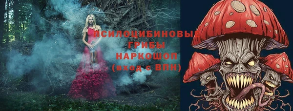 амф Надым