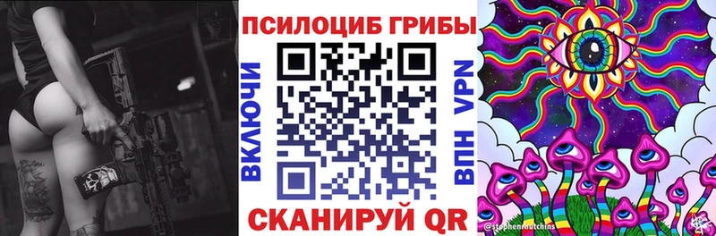 Псилоцибиновые грибы мицелий  Тайга 